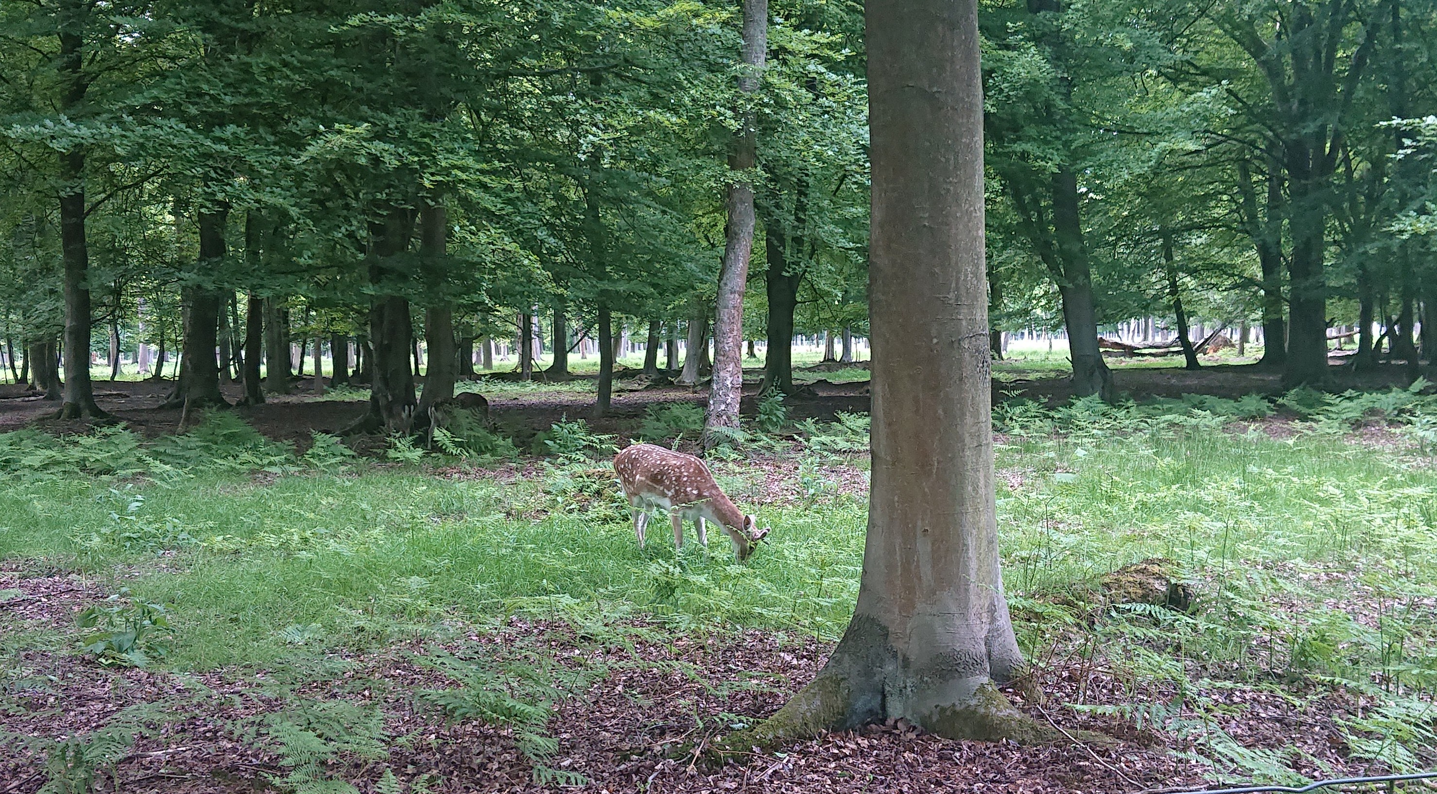 Photo n° 3 de l'avis de Nathan.r fait le 27/05/2019 à 19:06