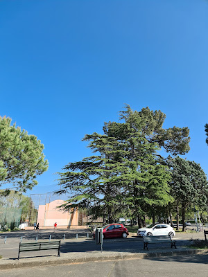 Fronton du Gond à Dax