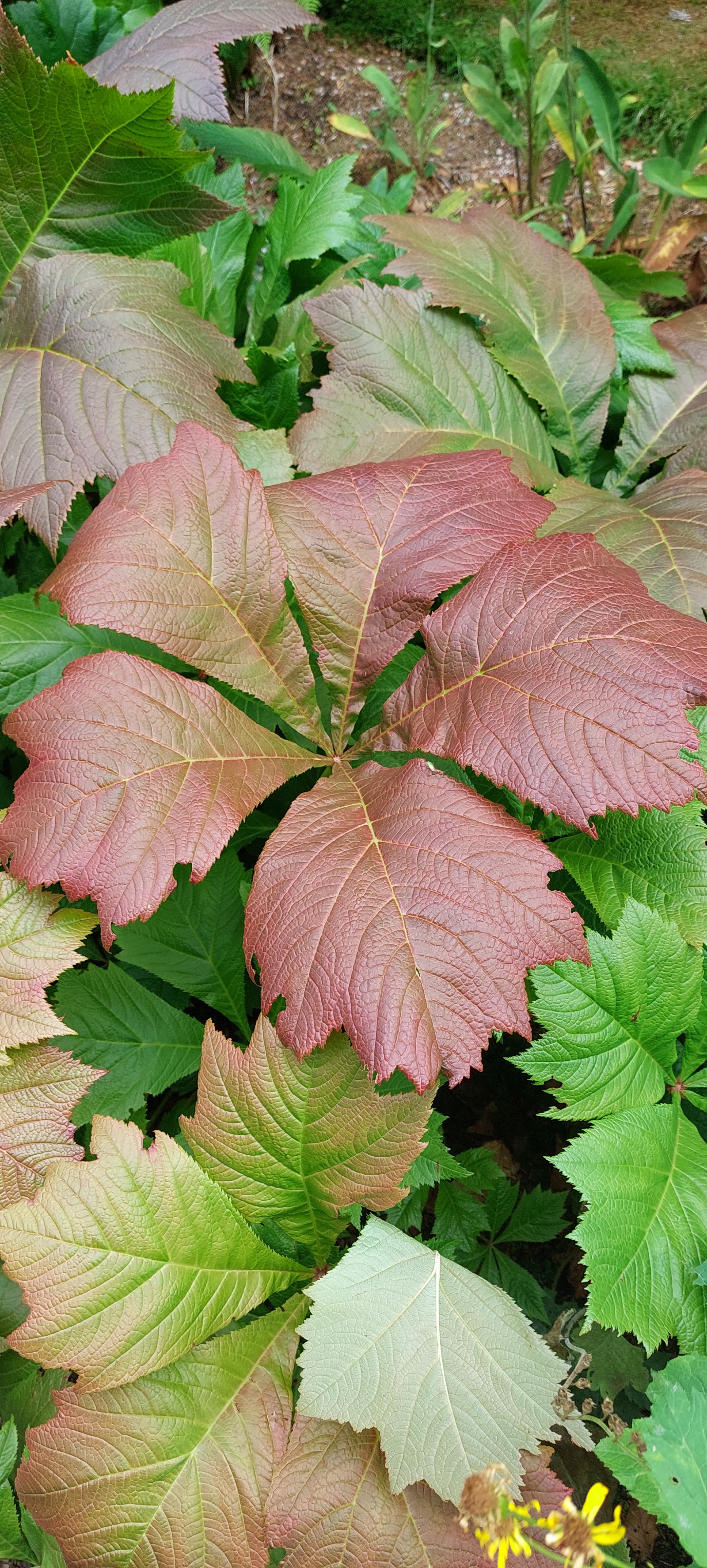 Photo n° 5 de l'avis de Johanna.a fait le 02/08/2023 à 07:32