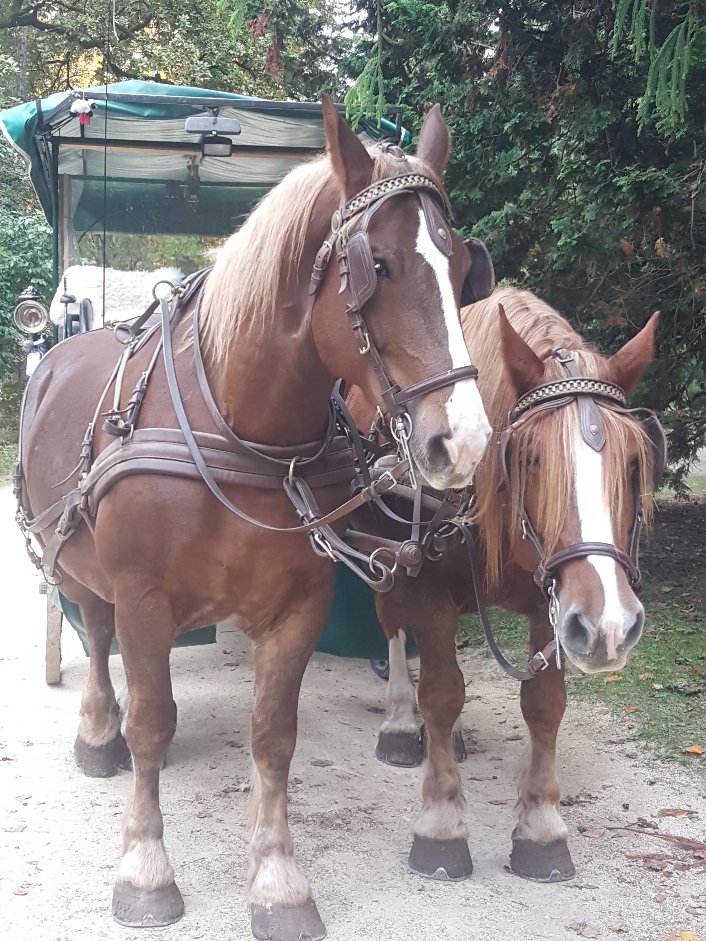 Photo n° 8 de l'avis de Sylvie.o fait le 25/10/2020 à 15:54