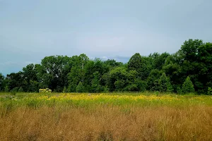 Margaret Peak Nature Preserve image