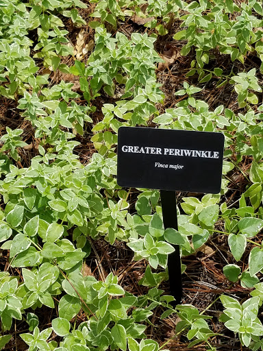 Corporate Office «Cox», reviews and photos, 6305 Peachtree Dunwoody Rd, Atlanta, GA 30328, USA