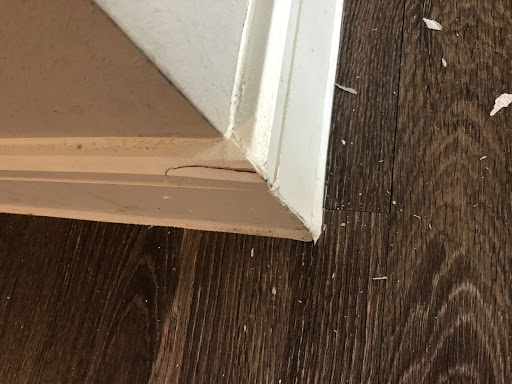 Moving and Storage Service «MoveCo.net», reviews and photos, 1596 N Mill St #135, Lewisville, TX 75057, USA