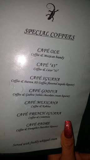 Tex-Mex Restaurant «Iguana New York», reviews and photos, 240 W 54th St, New York, NY 10019, USA