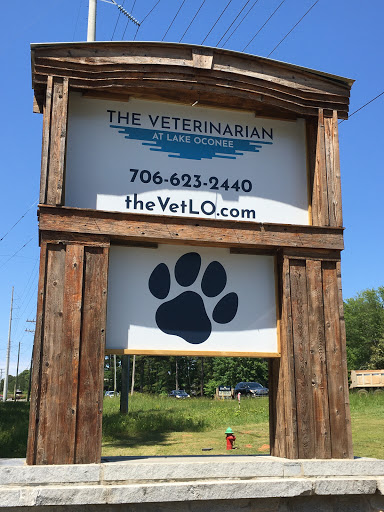 The Veterinarian at Lake Oconee image