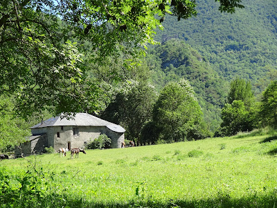 Les longues pistes Ferme équestre à Alliat