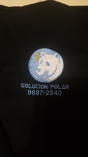 Solucion polar