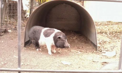 Farm «Wright Family Farm», reviews and photos, 329 Kings Hwy, Warwick, NY 10990, USA