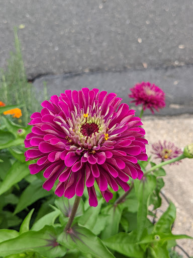 Community Center «Thomas Jefferson Community & Fitness Center», reviews and photos, 3501 2nd St S, Arlington, VA 22204, USA