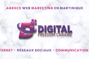 Digital Freedom Caraibe | Agence Digitale Martinique image