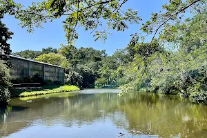 The Blue Harbor Tropical Arboretum image