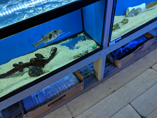 Tropical Fish Store «BluReef Aquarium», reviews and photos, 2198 Flatbush Ave, Brooklyn, NY 11234, USA