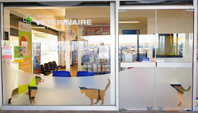 Clinique Vétérinaire Univet des 4 Pattes Madeleine - Chartres à Chartres