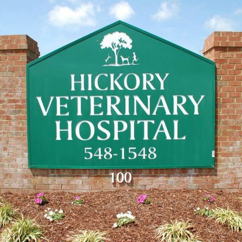 Hickory Veterinary Hospital
