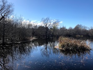 Black Bayou Observation Deck - photo 10