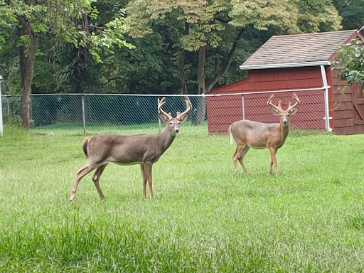 Park «Edison State Park», reviews and photos, 37 Christie St, Edison, NJ 08820, USA