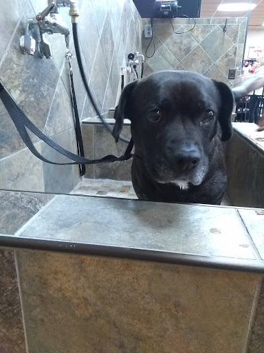 Pet Store «Pet Valu», reviews and photos, 1729 Quentin Rd, Lebanon, PA 17042, USA