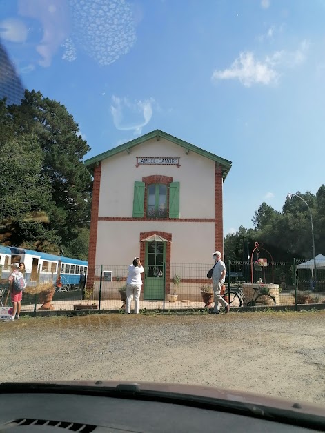 Les Ajoncs D'or à Baud (Morbihan 56)