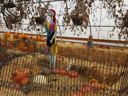 Produce Market «Kuwahara Farms», reviews and photos, 736 12300 S, Draper, UT 84020, USA