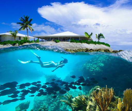 Real Estate Agency «Century 21 Premier Elite Realty», reviews and photos, 393 Aragon Ave, Coral Gables, FL 33134, USA