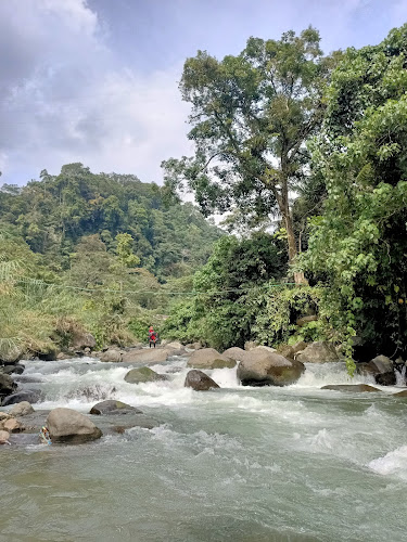 Taman Nasional di Kota Padang: Menjelajahi Tempat-tempat Menakjubkan di Taman Nasional Kerinci Seblat