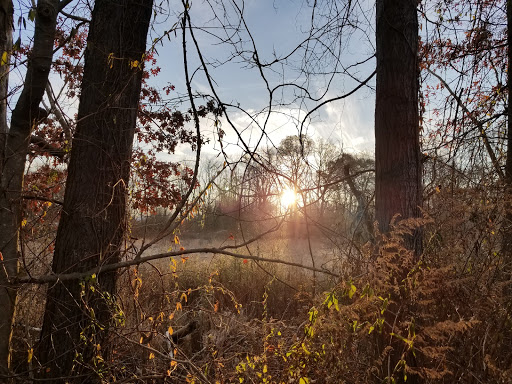 Car Repair and Maintenance «Midas», reviews and photos, 920 Route 46 East, Kenvil, NJ 07847, USA