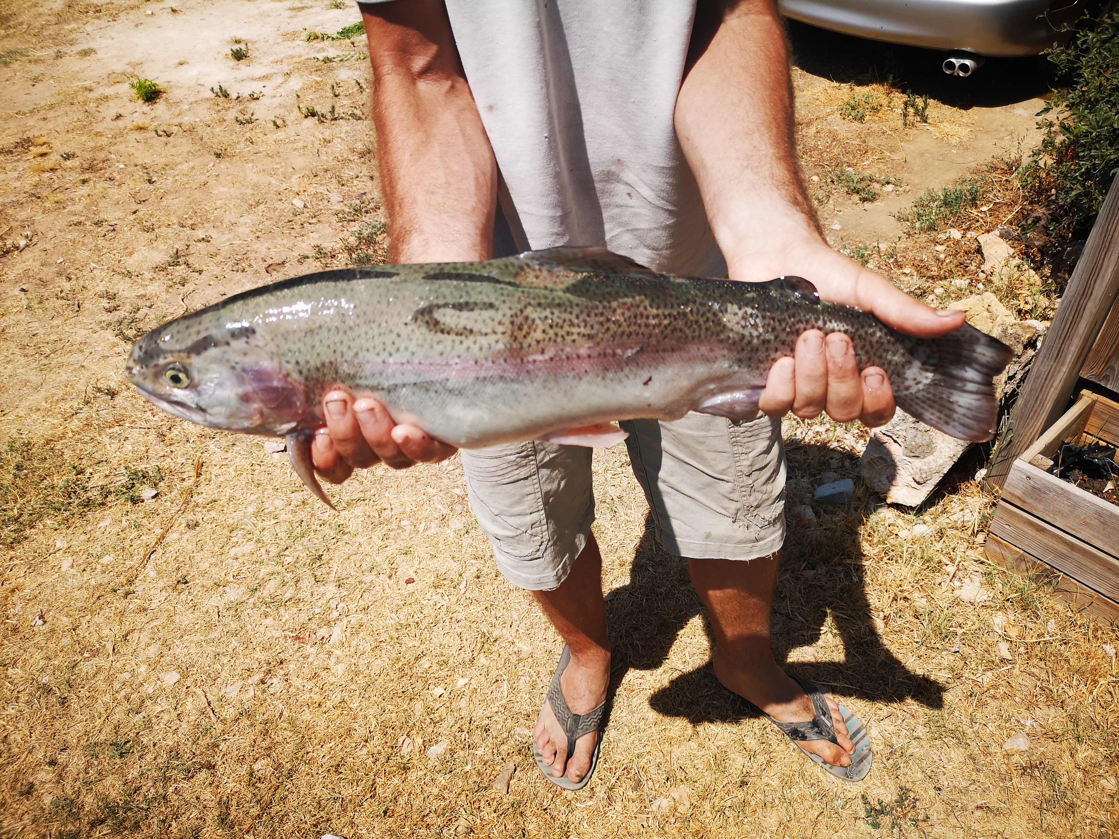 Photo n° 2 de l'avis de Mickael.l fait le 10/08/2019 à 12:00