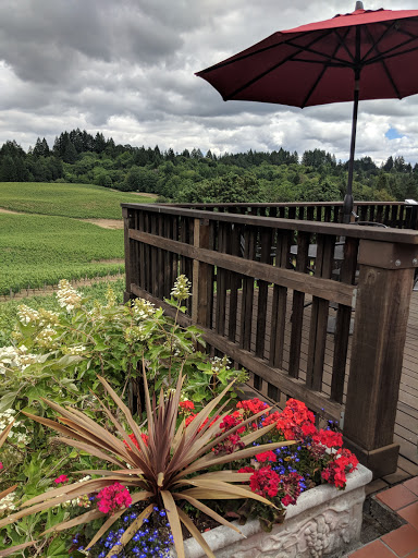 Winery «Elk Cove Vineyards», reviews and photos, 27751 NW Olson Rd, Gaston, OR 97119, USA