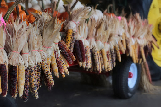 Grocery Store «Indian Trail Country Market», reviews and photos, 4944 US-209, Elizabethville, PA 17023, USA