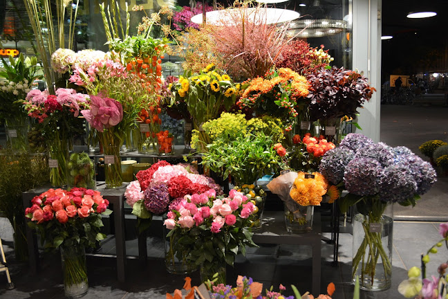 Rezensionen über Blumen Haab AG in Zürich - Blumengeschäft