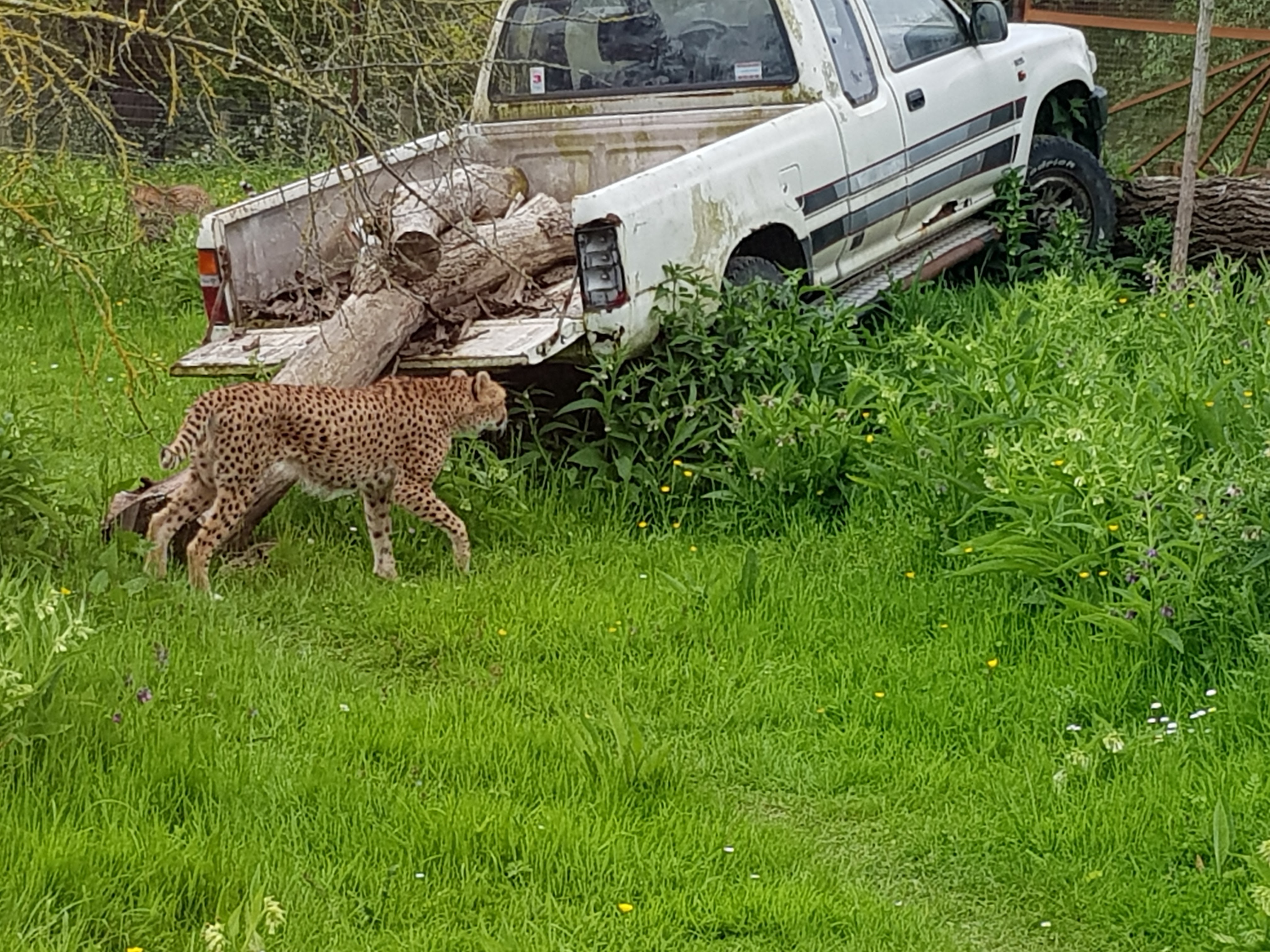 Photo n° 5 de l'avis de Tiss.i fait le 16/05/2018 à 09:54