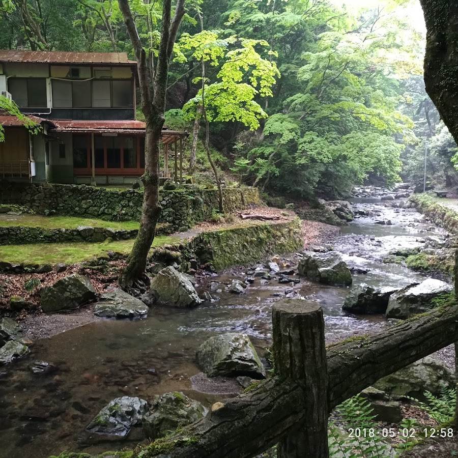 A Day at Minoh: A Walk Through Nature and History