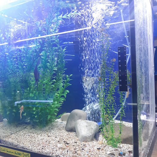 Pet Store «Jules Pet Shop», reviews and photos, 2214 N Milwaukee Ave