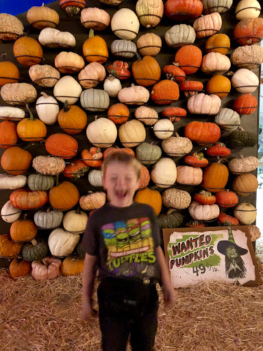 Produce Market «Kuwahara Farms», reviews and photos, 736 12300 S, Draper, UT 84020, USA