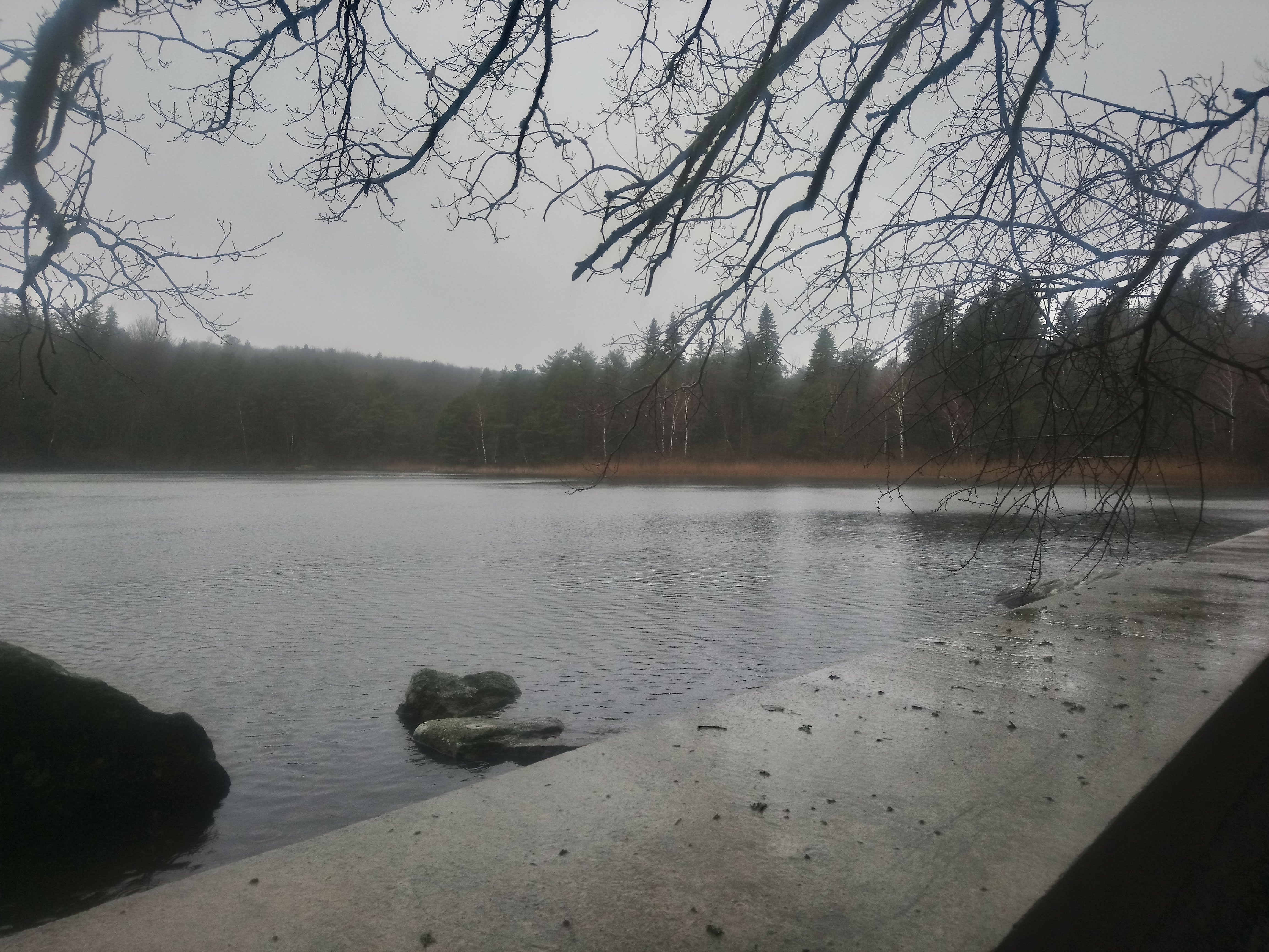Photo n° 2 de l'avis de Lola.u fait le 29/01/2019 à 23:15