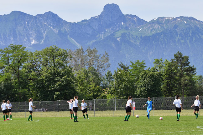 Rezensionen über FC Steffisburg in Thun - Sportstätte