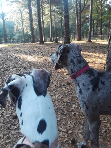 Park «Alexander Park», reviews and photos, 300 Atlanta St, McDonough, GA 30253, USA