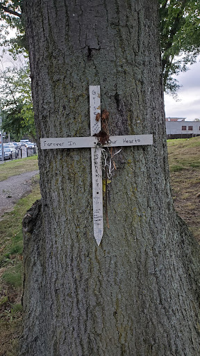 Park «Puddingstone Park», reviews and photos, 331 Seaver St, Boston, MA 02121, USA