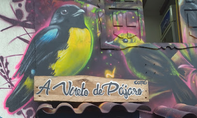 Café A Vuelo de Pájaro - 664020, Mistrató, Risaralda, Colombia