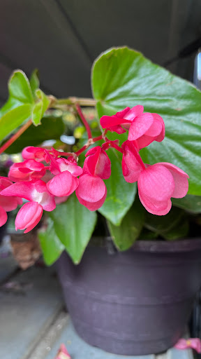 Home Improvement Store «The Home Depot», reviews and photos, 32525 Northwestern Hwy, Farmington Hills, MI 48334, USA