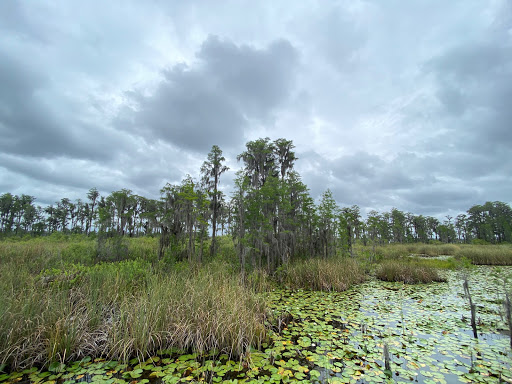 Tibet-Butler Nature Preserve, 8777 Winter Garden Vineland Rd, Orlando, FL 32836