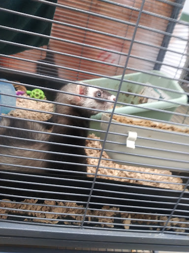 Pet Supply Store «Pet Supplies Plus», reviews and photos, 22124 Ecorse Rd, Taylor, MI 48180, USA