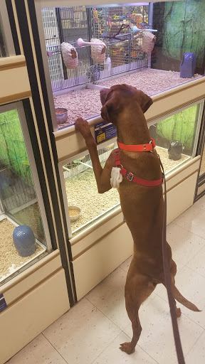 Pet Supply Store «PetSmart», reviews and photos, 1720 E Sherman Blvd, Muskegon, MI 49444, USA