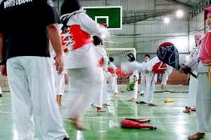 Estrella Indonesia Taekwondo Club image