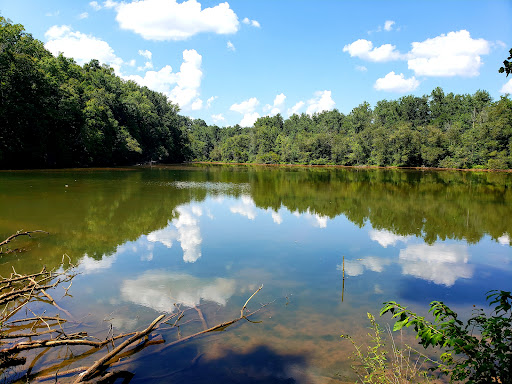 Hiking Area «Gold Branch Trail», reviews and photos, 6156 Lower Roswell Rd, Marietta, GA 30068, USA