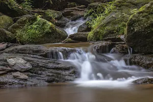 Mill Creek Falls (York Co.) Trail image
