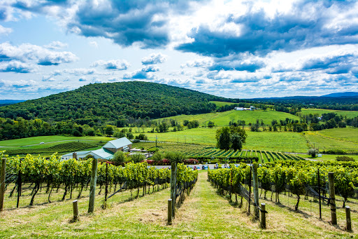 Winery «Hillsborough Vineyards», reviews and photos, 36716 Charles Town Pike, Purcellville, VA 20132, USA