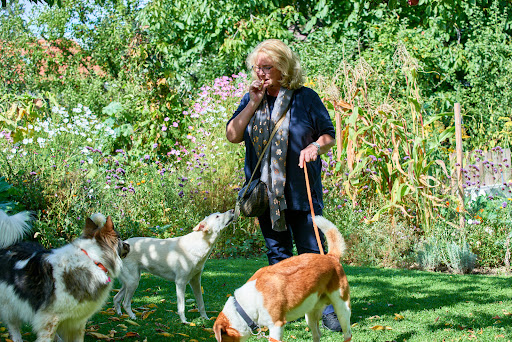 dogwalker & catsitter - Service Elisabeth Nagelreiter