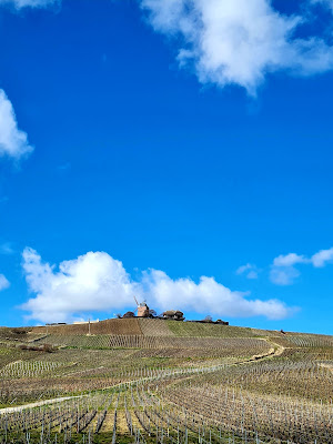 Champagne HERVY QUENARDEL à Verzenay