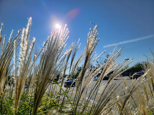 Shopping Mall «Fair City Mall», reviews and photos, 9650 Main Street, Fairfax, VA 22031, USA